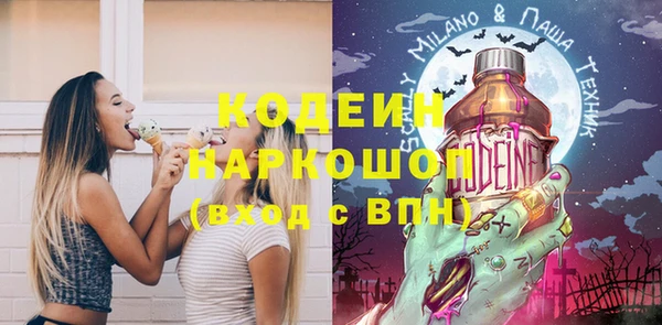 ECSTASY Няндома