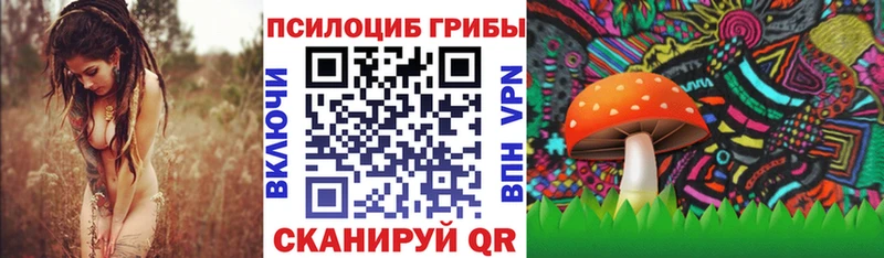 Псилоцибиновые грибы мицелий  маркетплейс состав  Власиха  кракен tor 